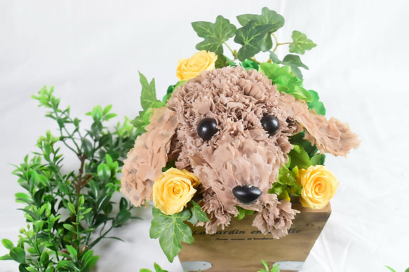 フラワーペット【ダックスフンド】プリザーブドフラワー ペット 犬 花 母の日 誕生日 お供え カーネーション 8枚目の画像