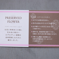フラワーペット【ダックスフンド】プリザーブドフラワー ペット 犬 花 母の日 誕生日 お供え カーネーション 9枚目の画像