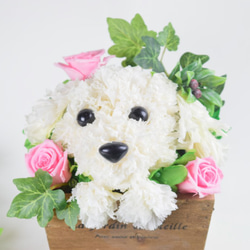 フラワーペット【マルチーズ】カーネーション 犬 動物 花 ペット お供え 母の日 誕生日 フラワーアレンジメント 6枚目の画像