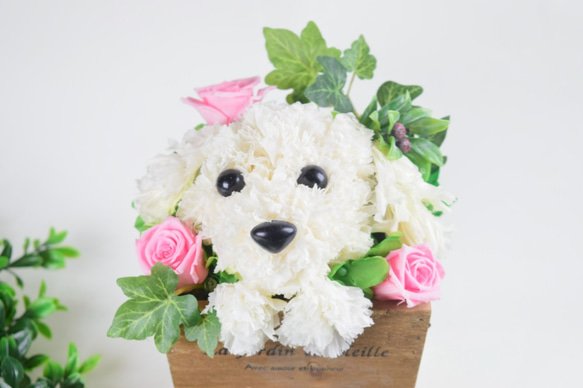 フラワーペット【マルチーズ】カーネーション 犬 動物 花 ペット お供え 母の日 誕生日 フラワーアレンジメント 6枚目の画像