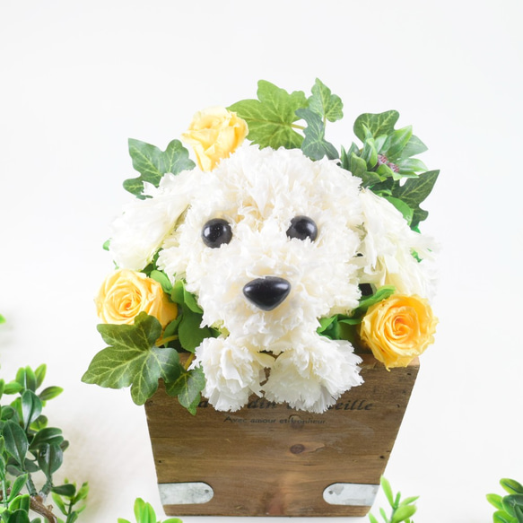 フラワーペット【マルチーズ】カーネーション 犬 動物 花 ペット お供え 母の日 誕生日 フラワーアレンジメント 4枚目の画像