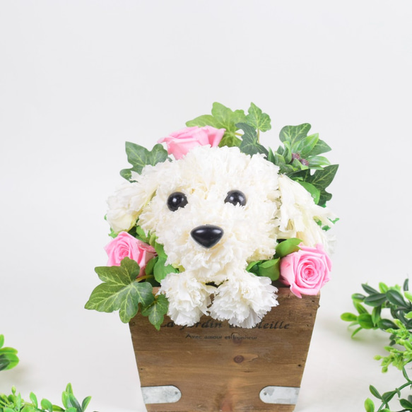 フラワーペット【マルチーズ】カーネーション 犬 動物 花 ペット お供え 母の日 誕生日 フラワーアレンジメント 7枚目の画像