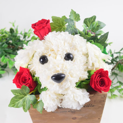 フラワーペット【マルチーズ】カーネーション 犬 動物 花 ペット お供え 母の日 誕生日 フラワーアレンジメント 8枚目の画像