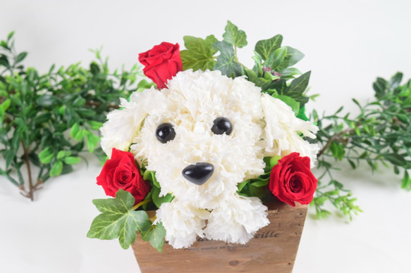 フラワーペット【マルチーズ】カーネーション 犬 動物 花 ペット お供え 母の日 誕生日 フラワーアレンジメント 8枚目の画像