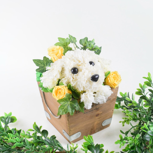 フラワーペット【マルチーズ】カーネーション 犬 動物 花 ペット お供え 母の日 誕生日 フラワーアレンジメント 9枚目の画像