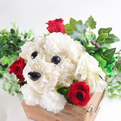 フラワーペット【マルチーズ】カーネーション 犬 動物 花 ペット お供え 母の日 誕生日 フラワーアレンジメント 5枚目の画像