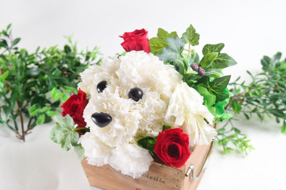 フラワーペット【マルチーズ】カーネーション 犬 動物 花 ペット お供え 母の日 誕生日 フラワーアレンジメント 5枚目の画像