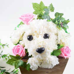 フラワーペット【マルチーズ】カーネーション 犬 動物 花 ペット お供え 母の日 誕生日 フラワーアレンジメント 2枚目の画像