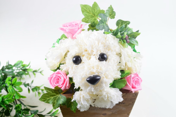 フラワーペット【マルチーズ】カーネーション 犬 動物 花 ペット お供え 母の日 誕生日 フラワーアレンジメント 2枚目の画像