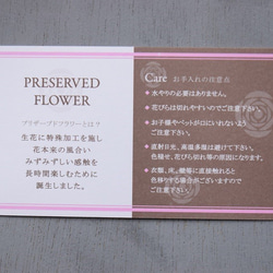 フラワーペット【ヨークシャテリア】カーネーション 犬 プリザーブドフラワー 花 母の日 誕生日 お供え フラワーペット 9枚目の画像