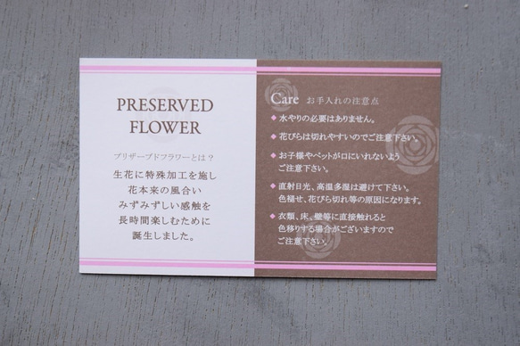 フラワーペット【ヨークシャテリア】カーネーション 犬 プリザーブドフラワー 花 母の日 誕生日 お供え フラワーペット 9枚目の画像