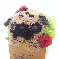 【パグ】プリザーブドフラワー  カーネーション 犬 花 ペット 母の日 誕生日 お供え  いぬ  フラワー プレゼント 1枚目の画像