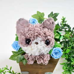 【茶猫】プリザーブドフラワー 花 猫 カーネーション ねこ 誕生日 母の日ギフト お供え フラワーアレンジメント 2枚目の画像