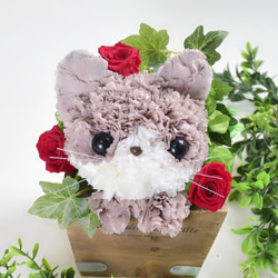 【茶猫】プリザーブドフラワー 花 猫 カーネーション ねこ 誕生日 母の日ギフト お供え フラワーアレンジメント 5枚目の画像