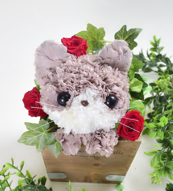 再販★【茶猫】プリザーブドフラワー 花 猫 カーネーション ねこ 誕生日 母の日ギフト お供え フラワーアレンジメント 1枚目の画像