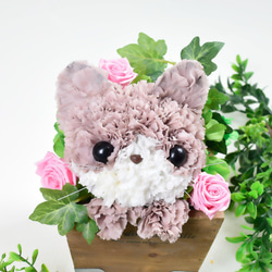 【茶猫】プリザーブドフラワー 花 猫 カーネーション ねこ 誕生日 母の日ギフト お供え フラワーアレンジメント 4枚目の画像