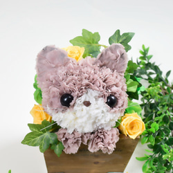 再販★【茶猫】プリザーブドフラワー 花 猫 カーネーション ねこ 誕生日 母の日ギフト お供え フラワーアレンジメント 4枚目の画像