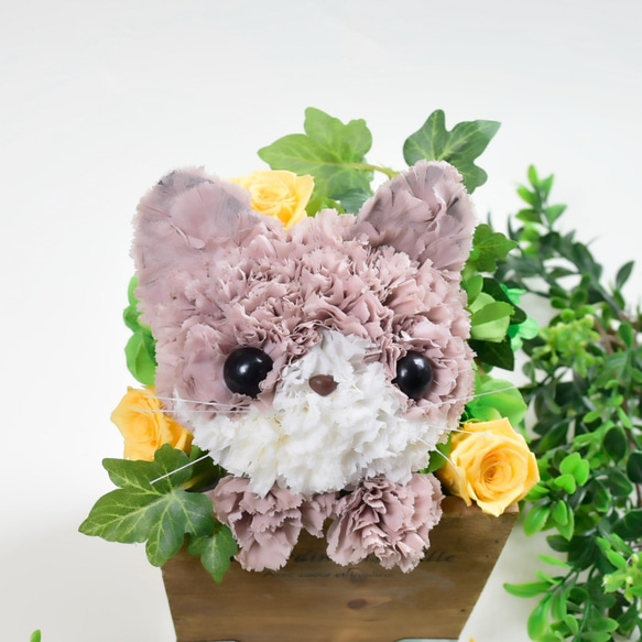 再販★【茶猫】プリザーブドフラワー 花 猫 カーネーション ねこ 誕生日 母の日ギフト お供え フラワーアレンジメント 5枚目の画像