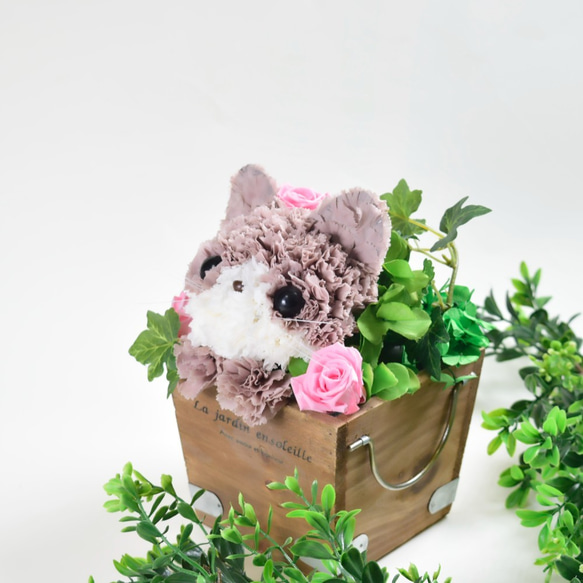 【茶猫】プリザーブドフラワー 花 猫 カーネーション ねこ 誕生日 母の日ギフト お供え フラワーアレンジメント 9枚目の画像