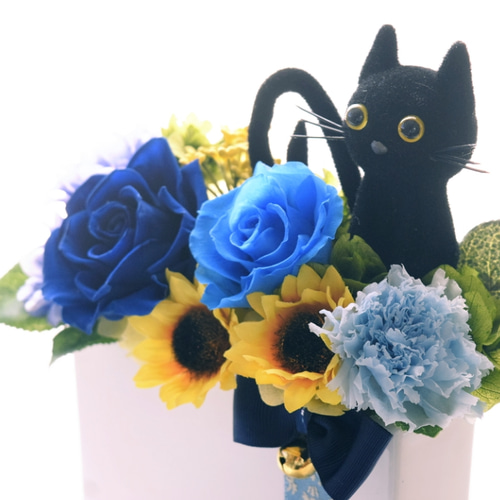 キラキラ⭐️　　花＆猫 カードガチャ キラキラサマーコレクション2025 ｜ Z/X