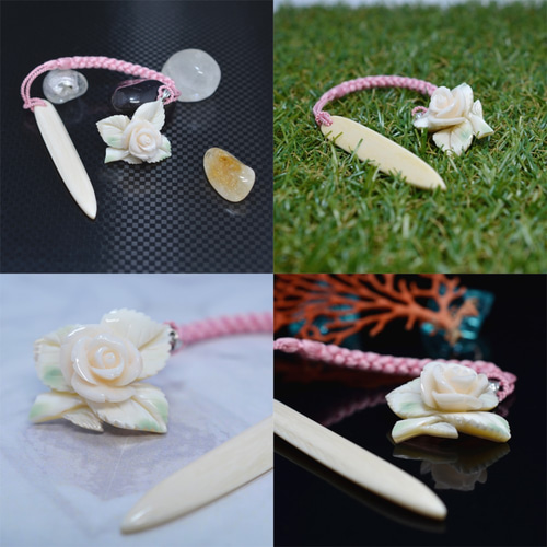 夜光貝 珊瑚(サンゴ)付き ①