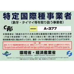 夜光貝 & ピンク珊瑚 バラ 根付 本象牙 差し込み板付き 正絹 ピンク色紐 netuke341 5枚目の画像