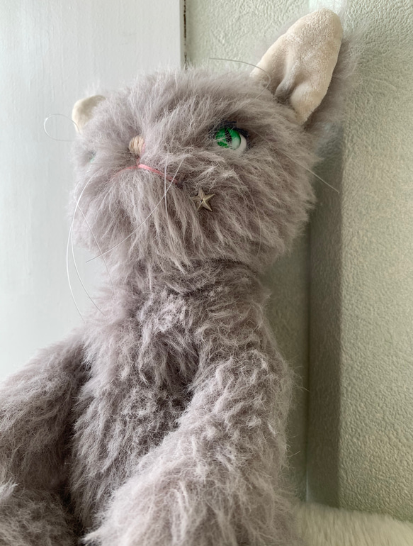 【売約済み】グレーモヘアキャット　猫 3枚目の画像