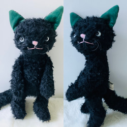 【売約済み】ブラックキャット　猫 1枚目の画像