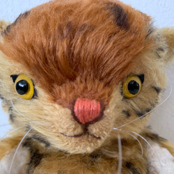ユニーク模様のモヘアでキャットベア　虎猫 3枚目の画像
