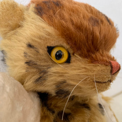 ユニーク模様のモヘアでキャットベア　虎猫 6枚目の画像