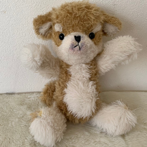 売約済 ドッグベア 犬 テディベア 柴犬 ぬいぐるみ menino itang