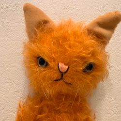 オレンジカーリーモヘアのキャット　テディベア　猫 2枚目の画像