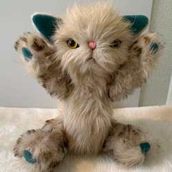 ベージュキャット　テディベア　猫 4枚目の画像