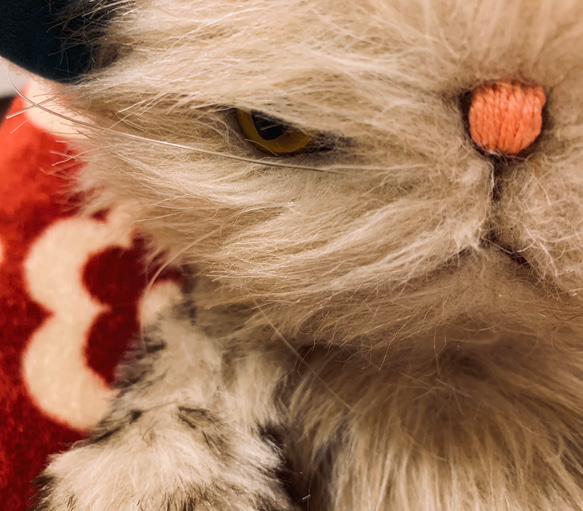 ベージュキャット　テディベア　猫 6枚目の画像