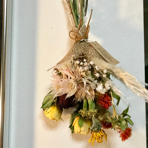 ❇️セルリア ブラッシング❣️ドライフラワー ドライフラワー］セルリア商品ページ - 土と風の植物園