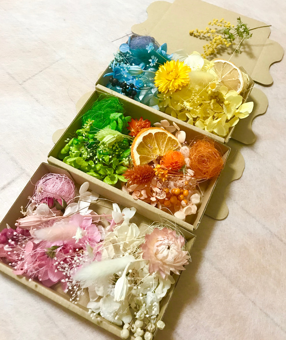 春＊新作！小花色々6カラー3BOX花材セットハーバリウム花材レジン素材ドライフラワー 花材 1枚目の画像