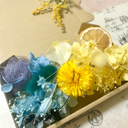 春＊新作！小花色々6カラー3BOX花材セットハーバリウム花材レジン素材ドライフラワー 花材 4枚目の画像