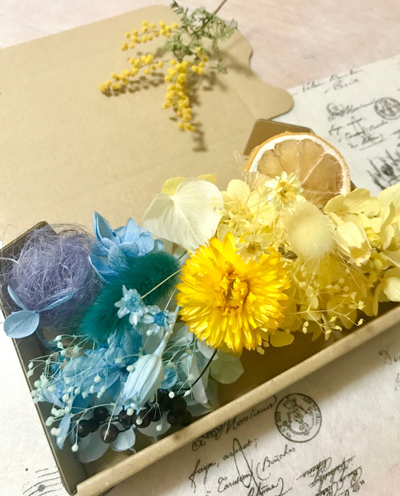 春＊新作！小花色々6カラー3BOX花材セットハーバリウム花材レジン素材ドライフラワー 花材 4枚目の画像