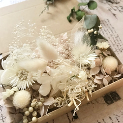 ラムズイヤー　ヘッド　ドライフラワー c3fef26d78f152f883ec4beb31e96f