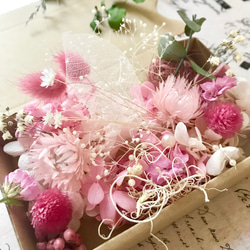 ラムズイヤー　ヘッド　ドライフラワー ラムズイヤー ヘッド ドライフラワー ラムズイヤーのドライフラワー