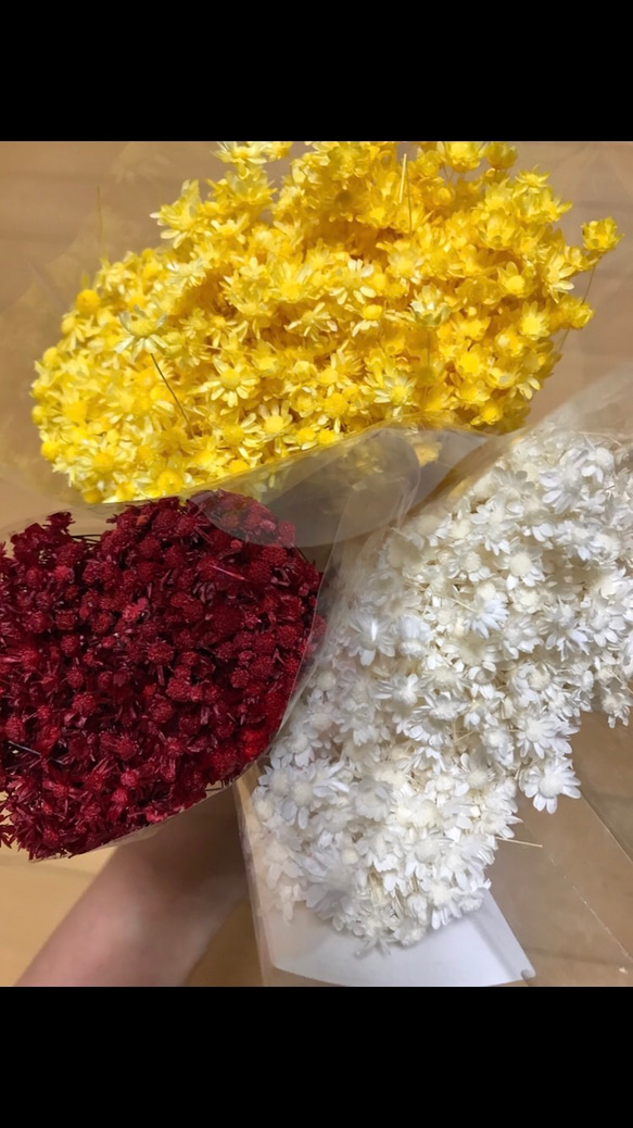 スターフラワー ミニ・マルセラ100本花材ドライフラワー 3枚目の画像