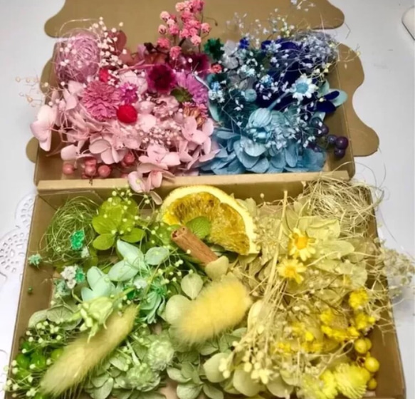 全9色4BOX ハーバリウム 花材セットお得‼︎ 2枚目の画像