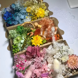 6色セット 3BOX花材セットハーバリウム花材 1枚目の画像
