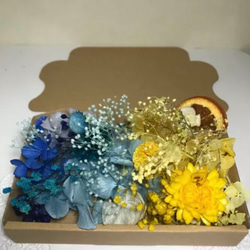 6色セット 3BOX花材セットハーバリウム花材 2枚目の画像