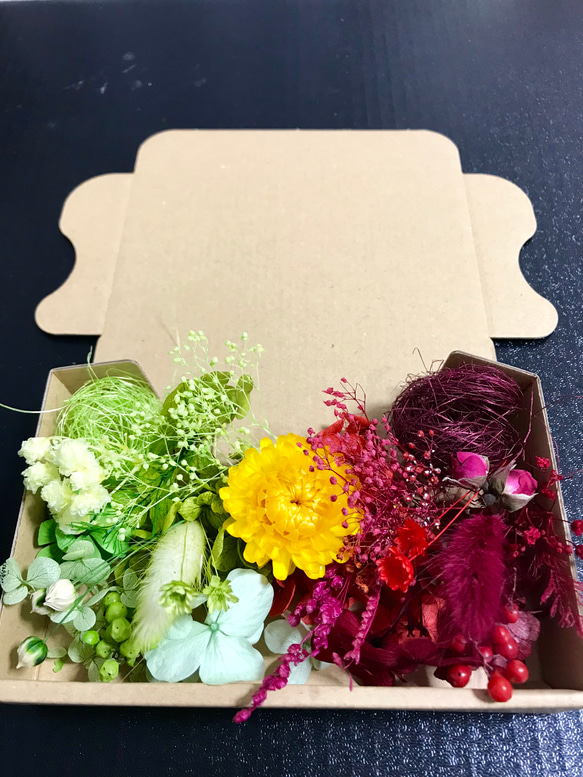 鮮やか＊6色3Boxハーバリウム花材ドライフラワー 花材セット 花材詰め合わせ 4枚目の画像
