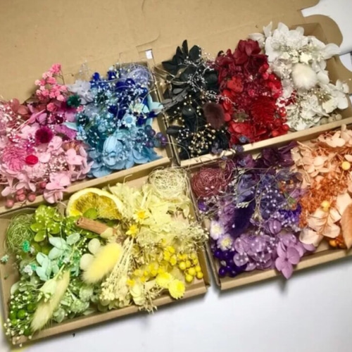全9カラー揃います＊ハーバリウム花材ドライフラワー 花材セット 4Box 