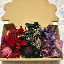 ６色２箱チーゼルフラワー♡ハーバリウム花材ドライフラワー 花材セット 2枚目の画像