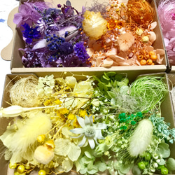 カラフル８色４箱♡ハーバリウム花材ドライフラワー 花材セット 2枚目の画像