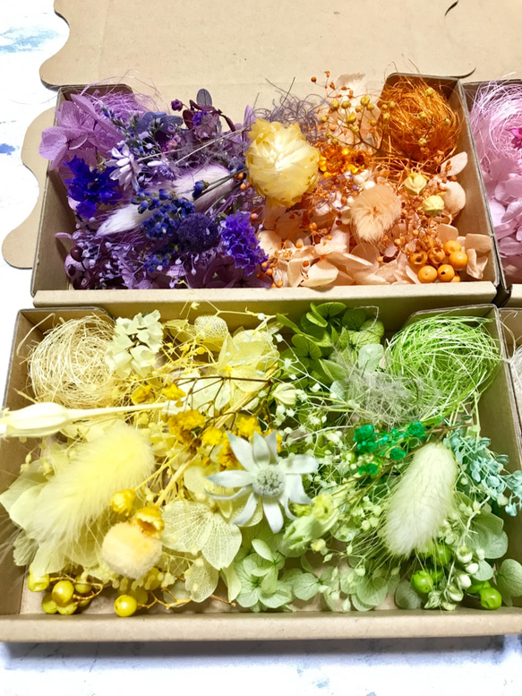 カラフル８色４箱♡ハーバリウム花材ドライフラワー 花材セット 2枚目の画像