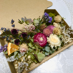 ドライな花材たち＊ボタニカル♡ハーバリウム花材ドライフラワー 花材セット 1枚目の画像